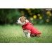 Oblečenie pre psa - plášť do dažďa BRISTOL 58cm moro