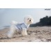 Oblečenie pre psa OXFORD košieľka 35 cm Maltese sivá - VÝPREDAJ