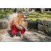 Oblečenie pre psa košeľa 40 cm Ranger červená