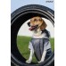 Oblečenie pre psa BOSTON 41cm sivé Beagle