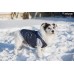 Oblečenie pre psa BOSTON 41cm modré Beagle