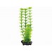 Tetra - Ambulia 15cm-rastlina plast. S