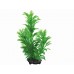 Tetra - Green Cabomba 15cm rastl.plast.  S