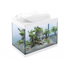 TETRA Starter Line LED akvárium 30L set Cray - biele 
