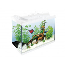 TETRA Starter Line LED akvárium 54L set - biele  