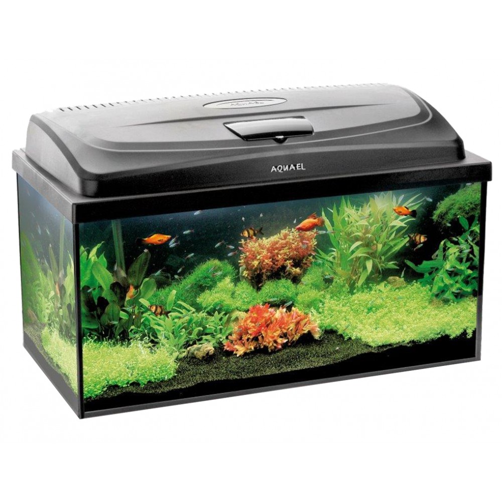 AQUAEL Akvárium CLASSIC BOX PAP 80 AQUAEL Akvárium CLASSIC BOX PAP 80