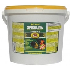 TROPICAL-Spirulina Forte 36% 21L/4kg