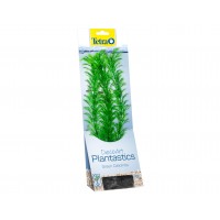 Tetra - Green Cabomba 30cm rastl.plast.L