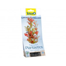 Tetra - Red Ludwigia 15cm rastl.plast. S