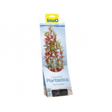 Tetra - Red Ludwigia 30cm rastl.plast.L