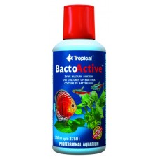 TROPICAL-Bacto-Active 250ml