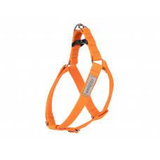 Postroj Samba M 40-60 [c , d] x 2cm oranžový Amiplay